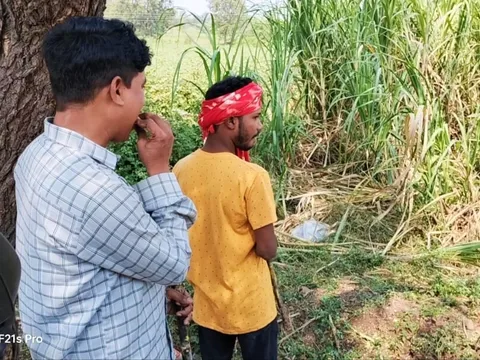 Witness the first-ever time Sugarcane Excellence Vid: A Desi Muscle Neck corset And A Biker Diocese Folks Get First In sight